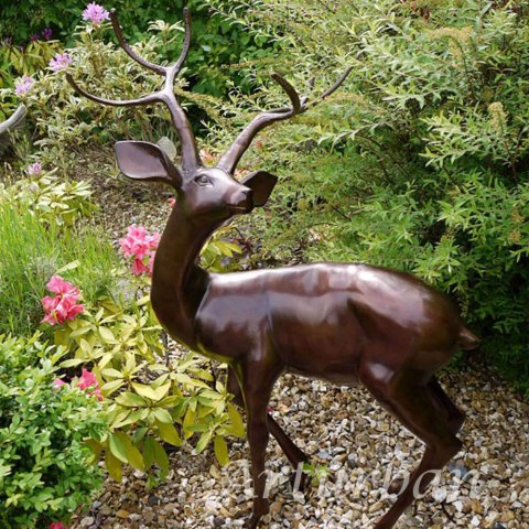 deer statue