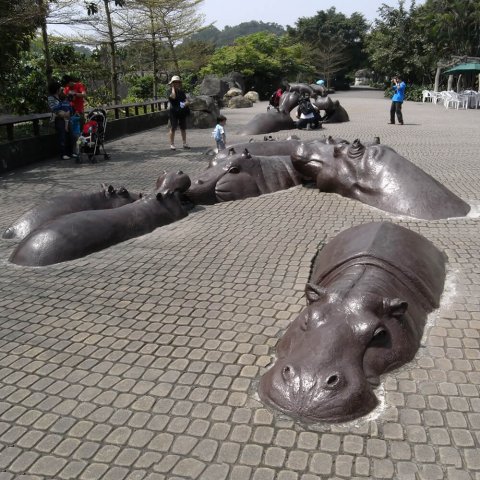 large hippo statue