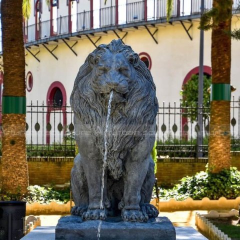 lion mouth water fountain