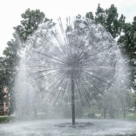 dandelion water fountain